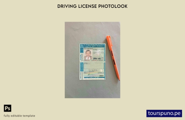 plantilla de aspecto fotográfico lista para imprimir Brasil DL (Detran Pe[Pernam
